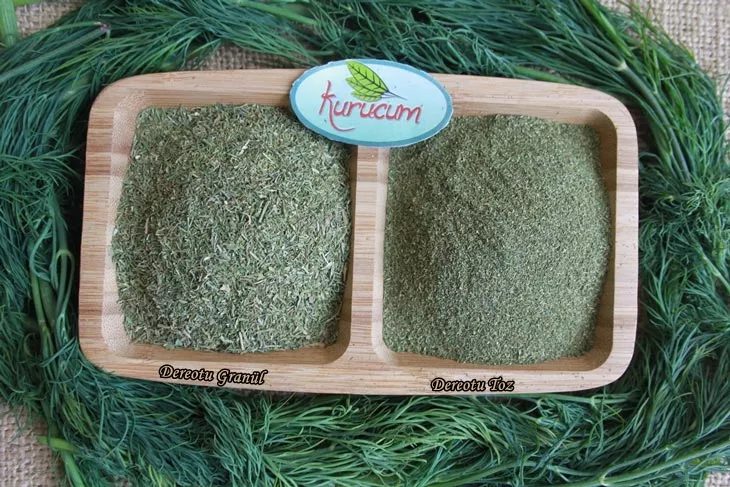 toptan kuru dereotu-2