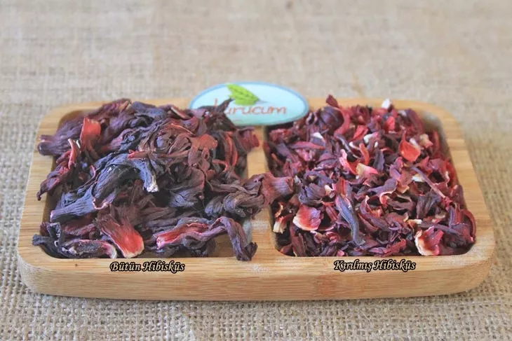 kuru hibisküs-2