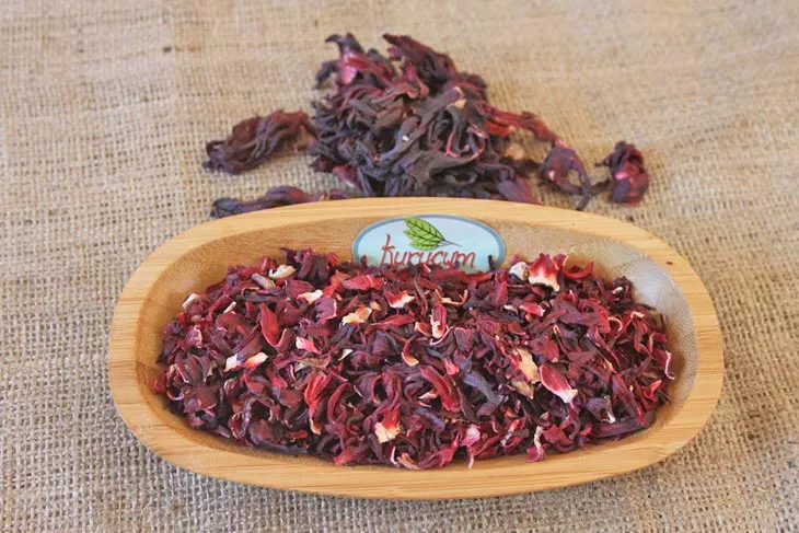kuru hibisküs-4