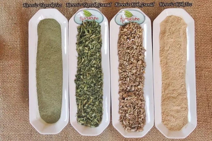 kuru kereviz-2