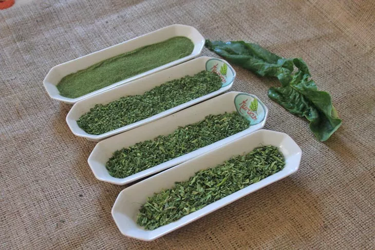 kurutulmuş ıspanak-1