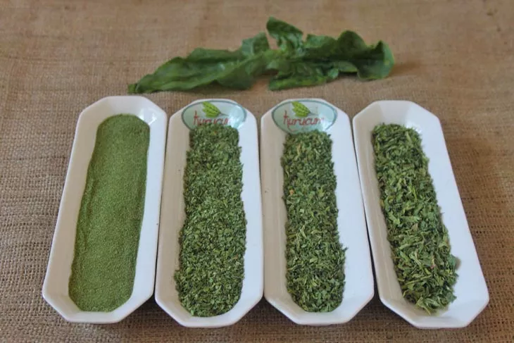 kurutulmuş ıspanak-6